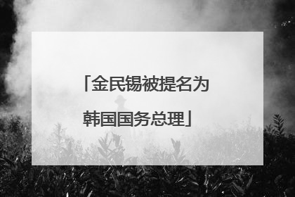 金民锡被提名为韩国国务总理