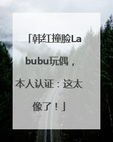韩红撞脸Labubu玩偶，本人认证：这太像了！