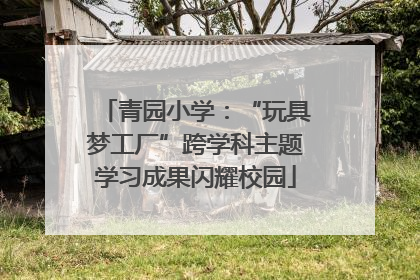 青园小学：“玩具梦工厂”跨学科主题学习成果闪耀校园