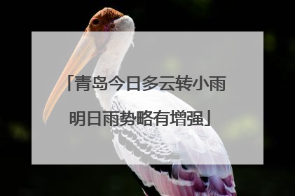 青岛今日多云转小雨 明日雨势略有增强