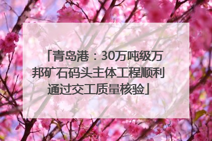 青岛港：30万吨级万邦矿石码头主体工程顺利通过交工质量核验