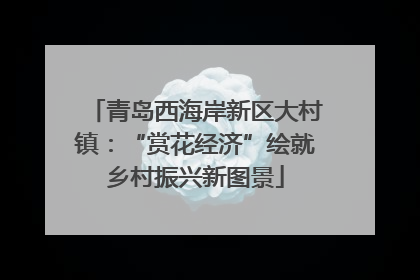 青岛西海岸新区大村镇：“赏花经济”绘就乡村振兴新图景