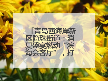 青岛西海岸新区隐珠街道：消夏盛宴燃动“滨海会客厅”，打造全天候、全龄段消费生态圈