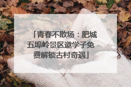 青春不散场：肥城五埠岭景区邀学子免费解锁古村奇遇