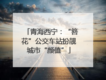 青海西宁：“簪花”公交车站扮靓城市“颜值”