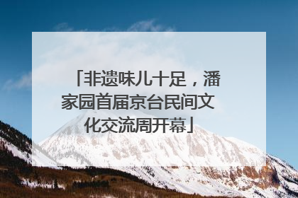非遗味儿十足，潘家园首届京台民间文化交流周开幕