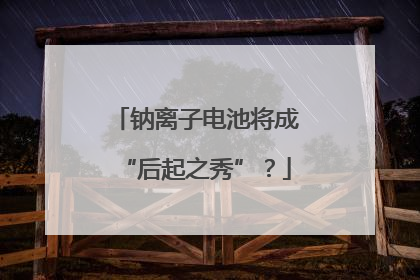 钠离子电池将成“后起之秀”？