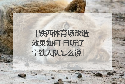 铁西体育场改造效果如何 且听辽宁铁人队怎么说