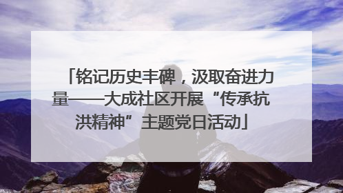 铭记历史丰碑，汲取奋进力量——大成社区开展“传承抗洪精神”主题党日活动