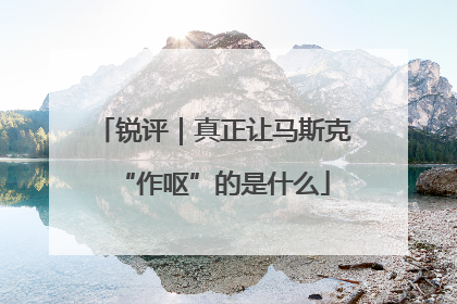 锐评｜真正让马斯克“作呕”的是什么