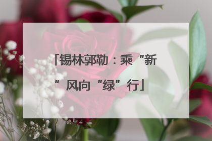 锡林郭勒：乘“新”风向“绿”行