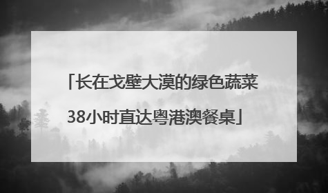 长在戈壁大漠的绿色蔬菜38小时直达粤港澳餐桌