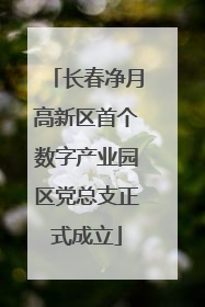 长春净月高新区首个数字产业园区党总支正式成立
