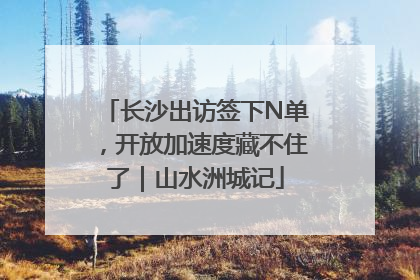 长沙出访签下N单，开放加速度藏不住了｜山水洲城记