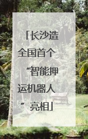 长沙造全国首个“智能押运机器人”亮相