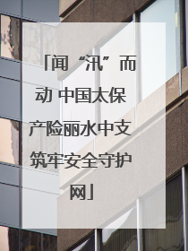 闻“汛”而动 中国太保产险丽水中支筑牢安全守护网