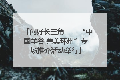 问好长三角——“中国羊谷 善美环州”专场推介活动举行