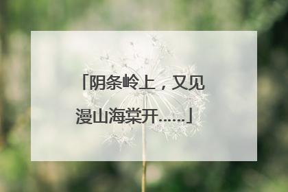 阴条岭上，又见漫山海棠开……
