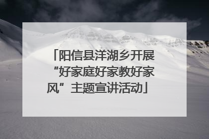 阳信县洋湖乡开展“好家庭好家教好家风”主题宣讲活动