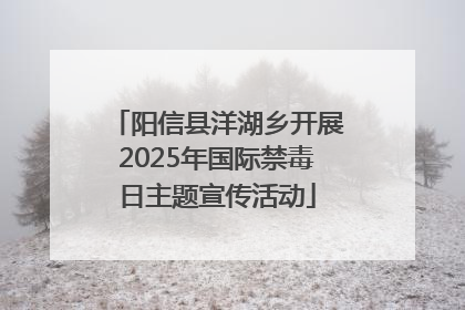 阳信县洋湖乡开展2025年国际禁毒日主题宣传活动