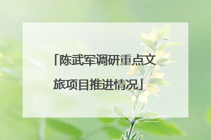陈武军调研重点文旅项目推进情况