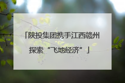 陕投集团携手江西赣州 探索“飞地经济”