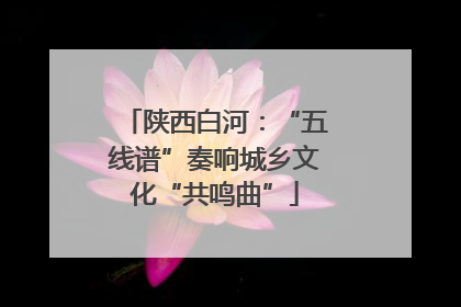 陕西白河：“五线谱”奏响城乡文化“共鸣曲”