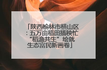陕西榆林市横山区：五万亩稻田插秧忙 “稻渔共生”绘就生态富民新画卷