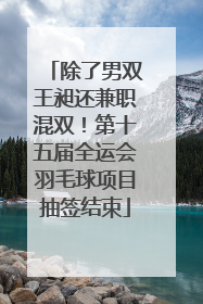 除了男双王昶还兼职混双！第十五届全运会羽毛球项目抽签结束