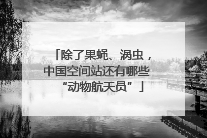 除了果蝇、涡虫，中国空间站还有哪些“动物航天员”