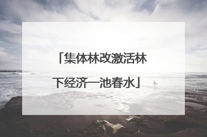 集体林改激活林下经济一池春水