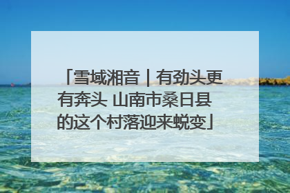 雪域湘音｜有劲头更有奔头 山南市桑日县的这个村落迎来蜕变
