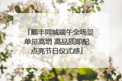 顺丰同城端午全场景单量高增 高品质即配点亮节日仪式感