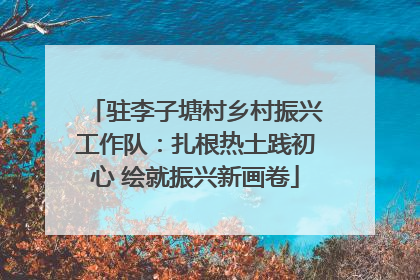 驻李子塘村乡村振兴工作队：扎根热土践初心 绘就振兴新画卷
