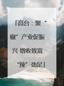 高台：聚“椒”产业促振兴 增收致富“辣”劲足