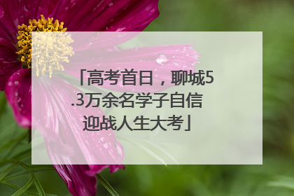 高考首日，聊城5.3万余名学子自信迎战人生大考