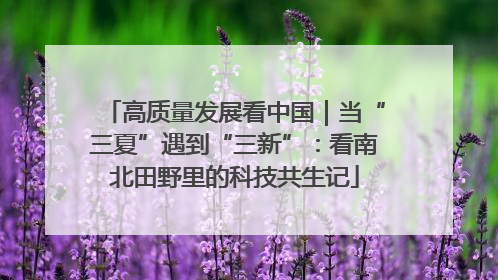 高质量发展看中国｜当“三夏”遇到“三新”：看南北田野里的科技共生记