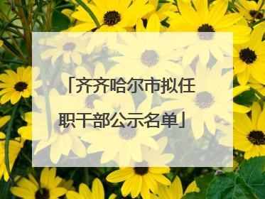 齐齐哈尔市拟任职干部公示名单