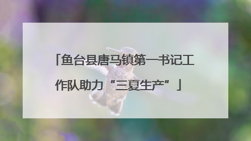 鱼台县唐马镇第一书记工作队助力“三夏生产”