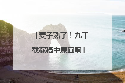 麦子熟了！九千载稼穑中原回响