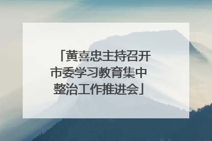 黄喜忠主持召开市委学习教育集中整治工作推进会