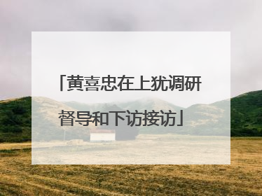 黄喜忠在上犹调研督导和下访接访