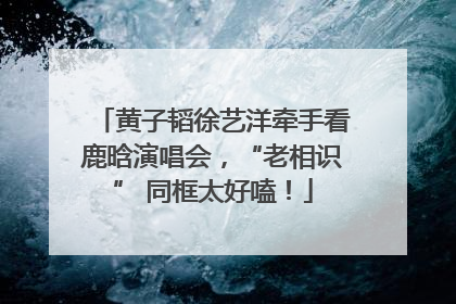黄子韬徐艺洋牵手看鹿晗演唱会，“老相识” 同框太好嗑！