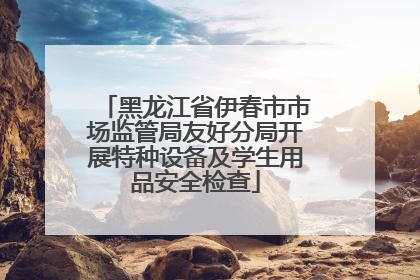 黑龙江省伊春市市场监管局友好分局开展特种设备及学生用品安全检查