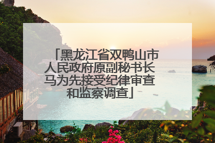 黑龙江省双鸭山市人民政府原副秘书长马为先接受纪律审查和监察调查