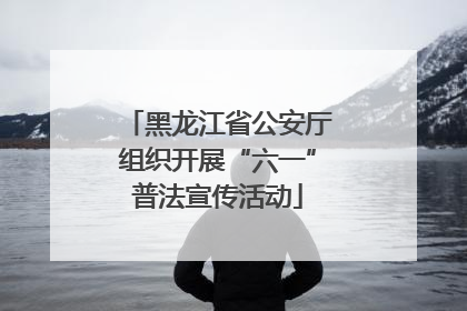黑龙江省公安厅组织开展“六一”普法宣传活动