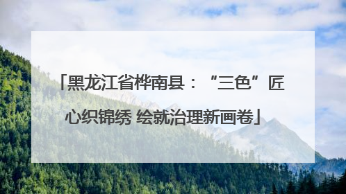 黑龙江省桦南县：“三色”匠心织锦绣 绘就治理新画卷