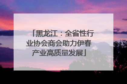 黑龙江：全省性行业协会商会助力伊春产业高质量发展