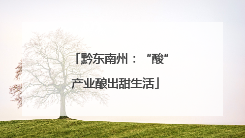 黔东南州：“酸”产业酿出甜生活
