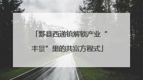 黟县西递镇解锁产业“丰景”里的共富方程式